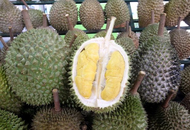 Malaysia's durians continues to stamp a mark in the Netherlands - Asia ...