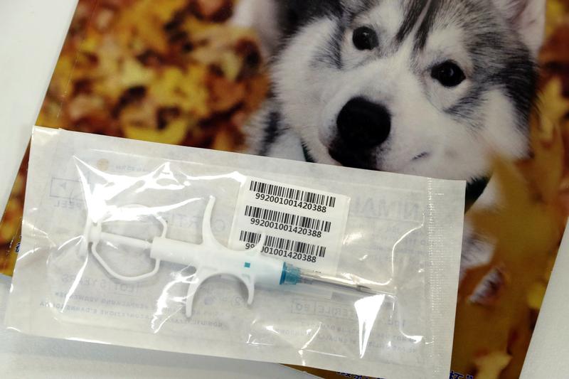Calls for new Covid-19 pet quarantine measures in Hong Kong-1