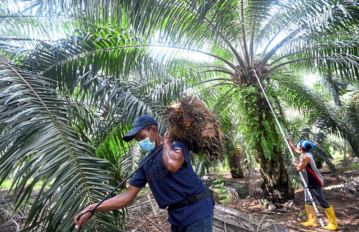 Keterlambatan dalam memproses pekerja asing menyebabkan kerugian, kata para bos di Malaysia