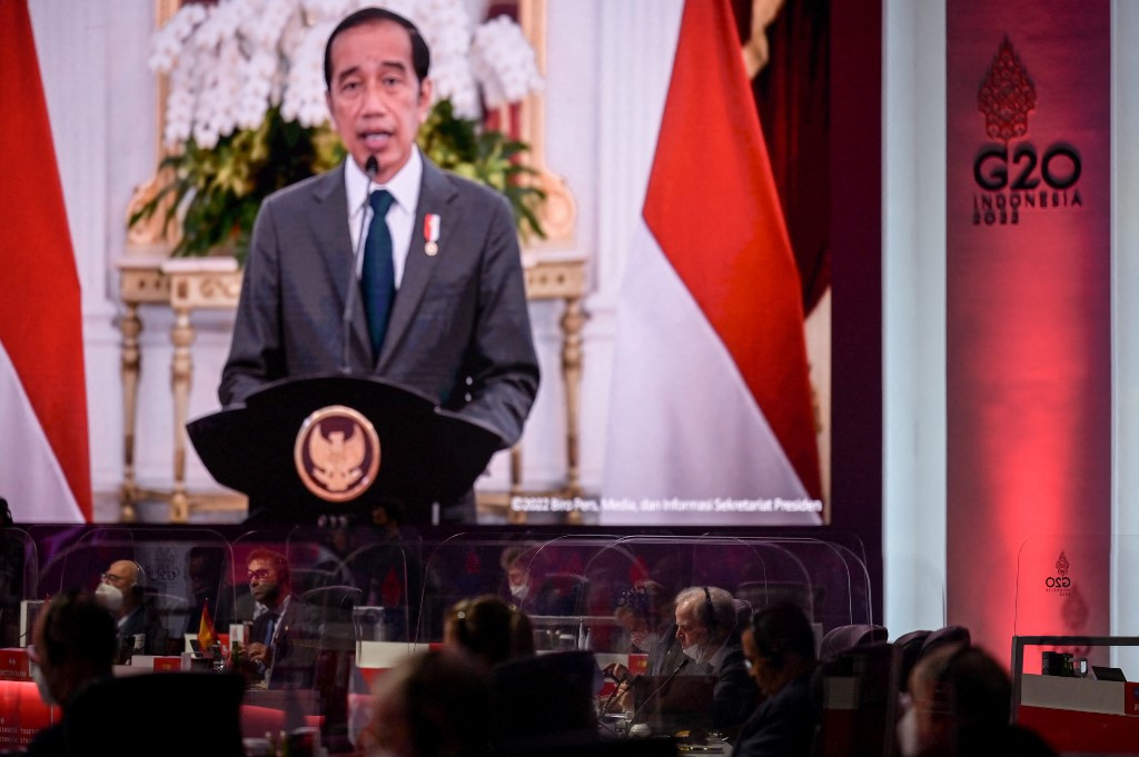 Jokowi berupaya ‘menyatukan’ G-20 dalam pembicaraan dengan Ukraina dan Rusia