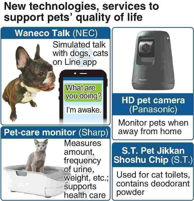 Panasonic 2024 pet camera