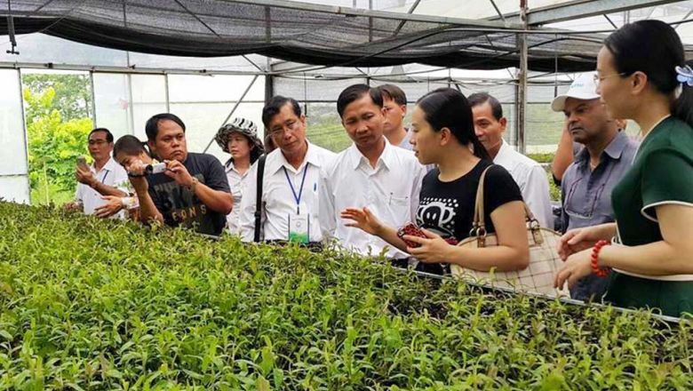 Pengobatan tradisional memenuhi pelatihan modern karena Kamboja mensertifikasi penyembuh tradisional