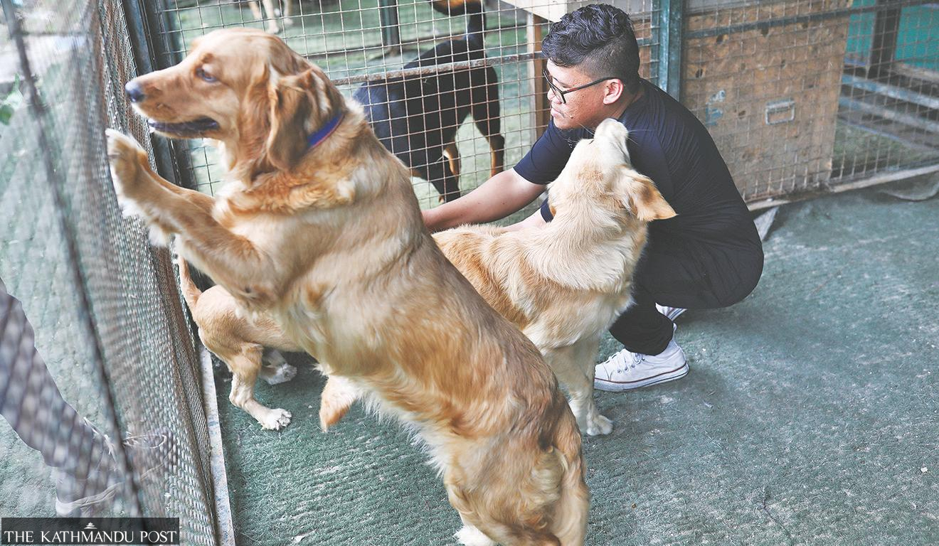 Rumah kos anjing di Kathmandu menjadi tempat istirahat bagi pecinta anjing selama liburan