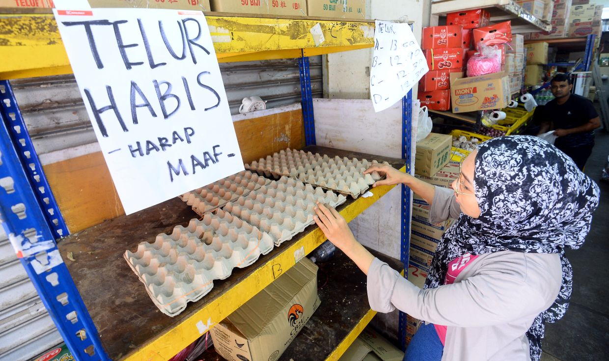 Petani Malaysia memperingatkan akan kekurangan telur