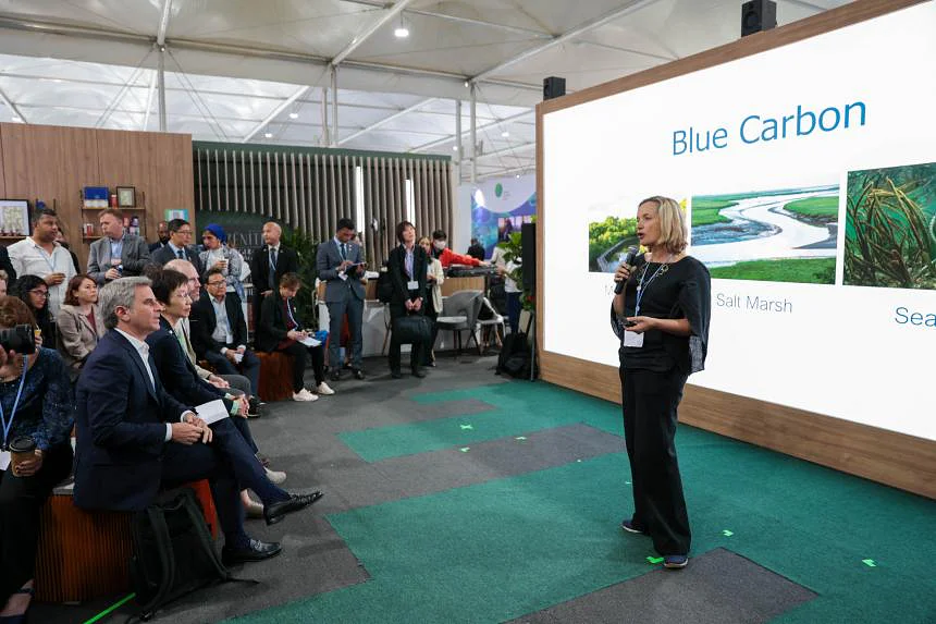 Blue Carbon Institute Baru Diluncurkan di Singapura