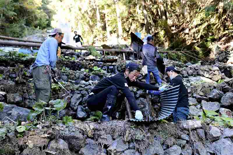 Petani wasabi di Shizuoka masih belum pulih dari topan bulan September