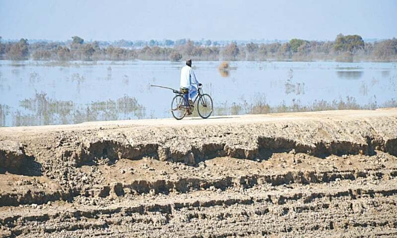 JOHI: A man is on his way back to his village on cycle.
