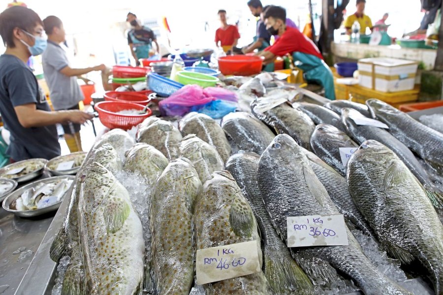 Tidak ada ikan kerapu yang berlimpah untuk Tahun Baru Imlek