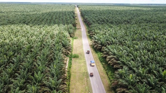 Kebijakan hijau UE merupakan prioritas bagi ASEAN