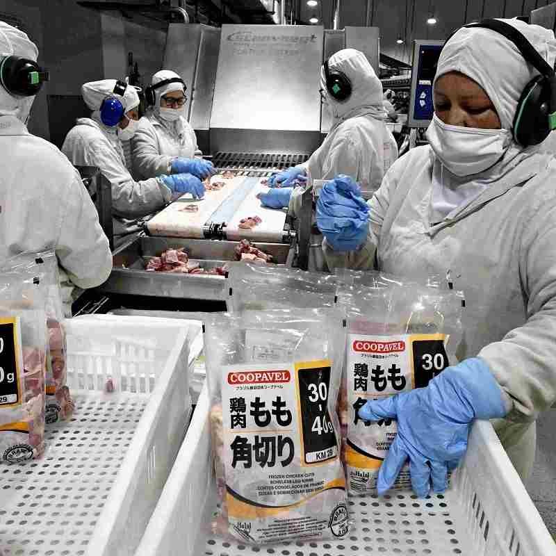 Jepang kalah bersaing dalam membeli ayam