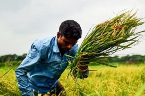 Meningkatnya biaya pertanian dapat mengancam ketahanan pangan