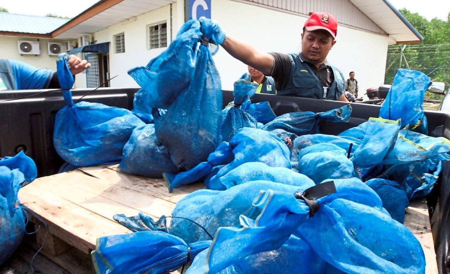 Peningkatan denda untuk penyelundupan satwa liar merupakan langkah yang tepat