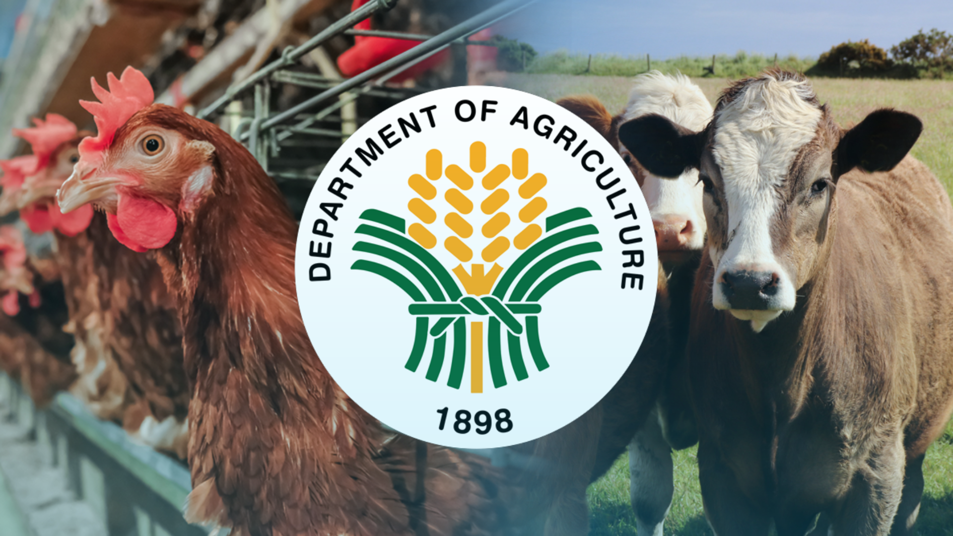 Philippines bans beef from The Netherlands, poultry products from