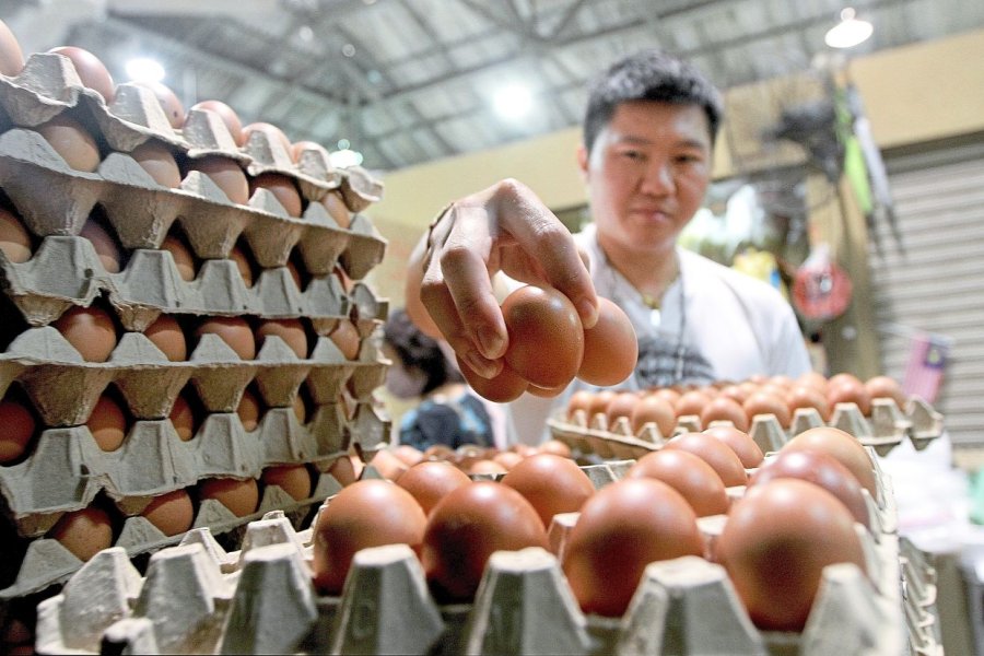 Raya khawatir dengan harga telur, ayam, dan sayur di M’sia