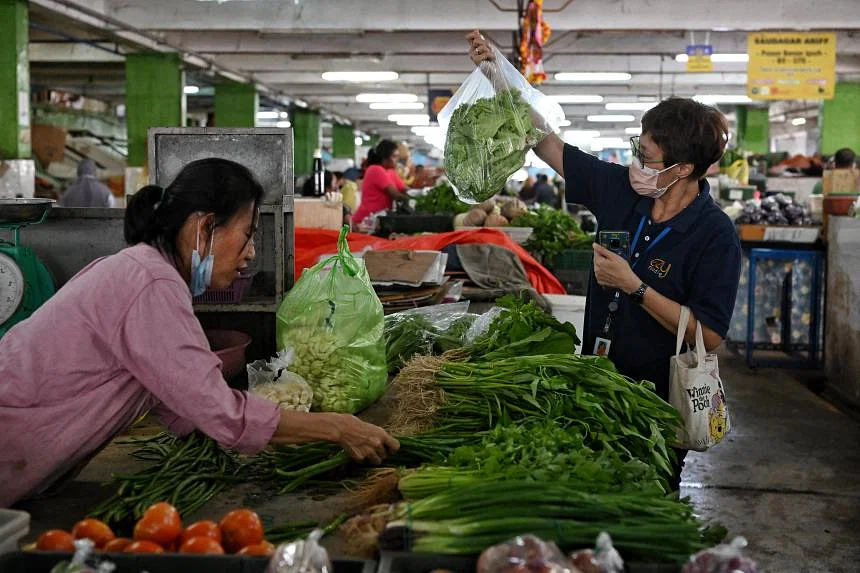 Harga sayuran di Malaysia diperkirakan akan kembali melonjak karena cuaca basah