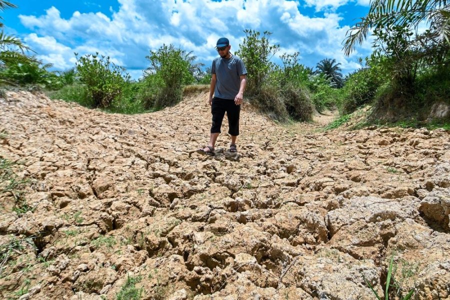 Malaysia sees persistently high temperatures amid heatwave Asia News