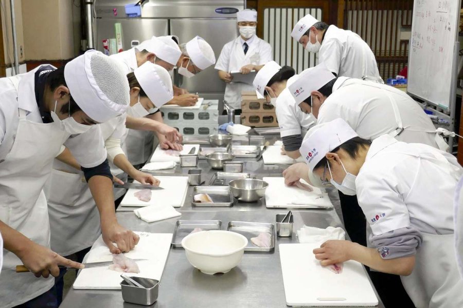 Sushi Schools Tackle Global Chef Shortage with Innovative Curriculum