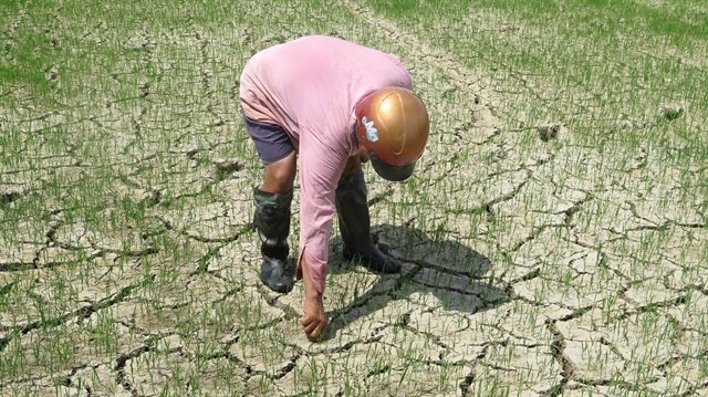 Rencana respons terhadap El Nino sangatlah penting, kata para pakar Vietnam