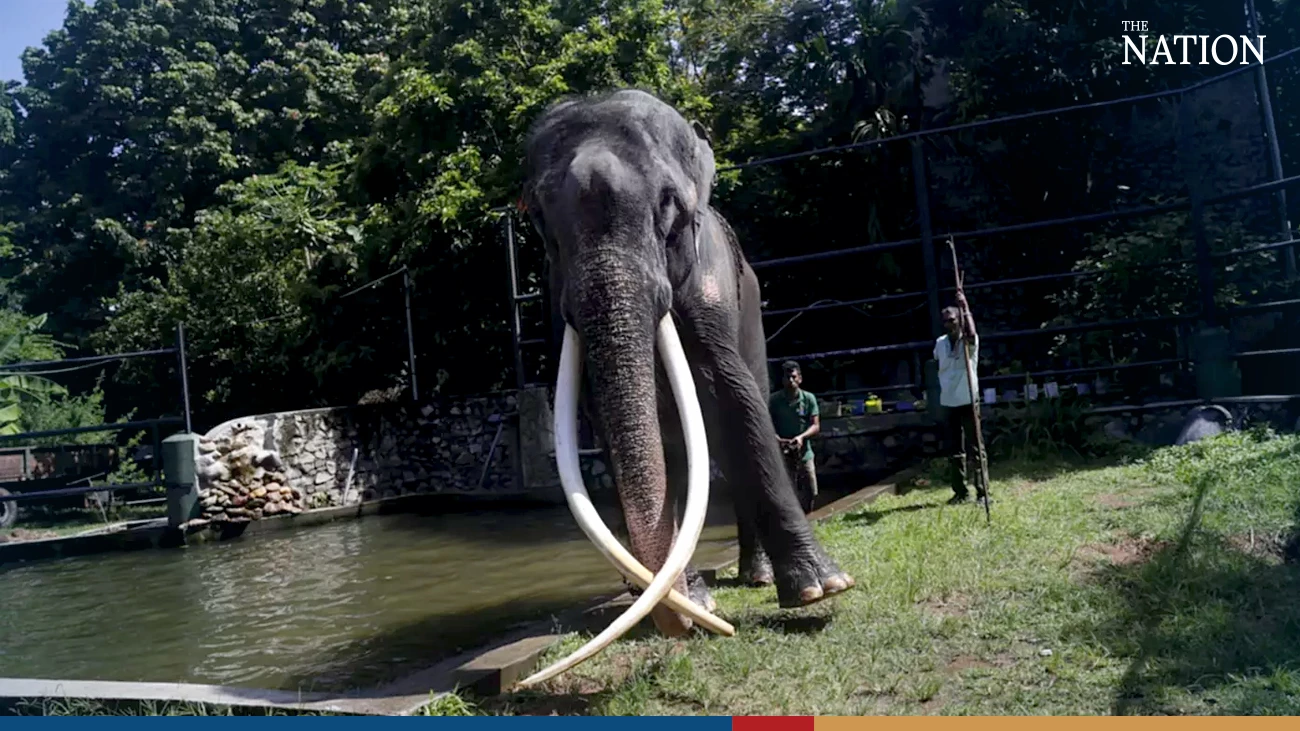 A brief history of Thailand's 'elephant diplomacy