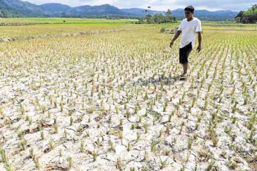 Mengapa Filipina bersiap untuk El Niño sekarang?