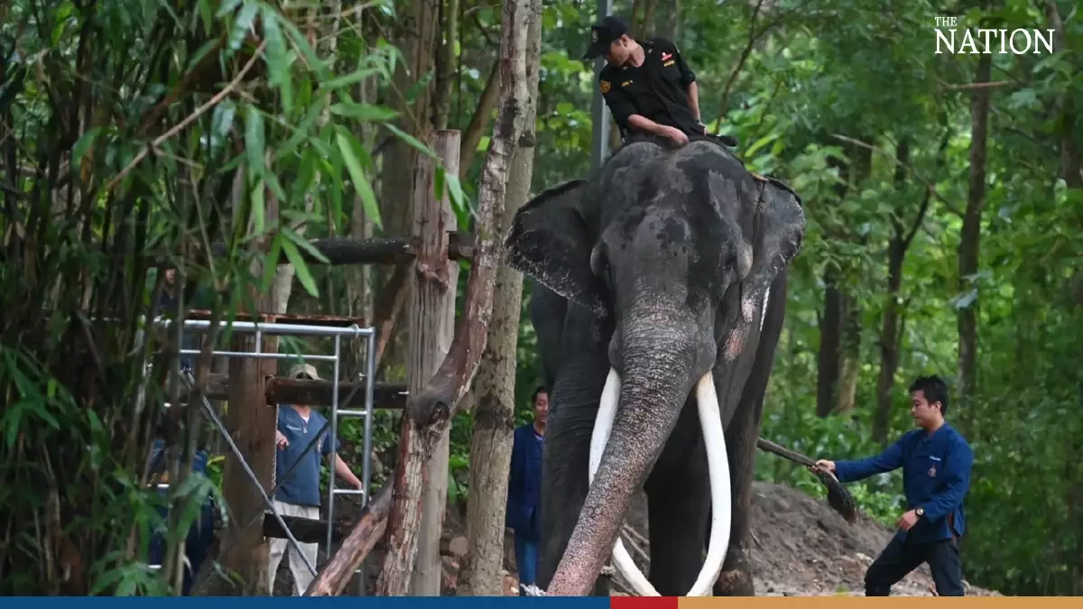 A brief history of Thailand's 'elephant diplomacy