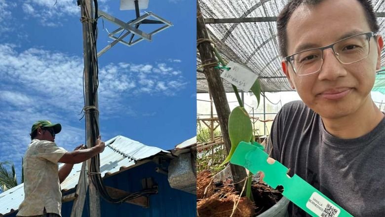 Starlink membuka jalan bagi pertanian cerdas di Kamboja