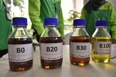 Kementerian Indonesia menolak ‘kolonialisme’ perdagangan UE di tengah penyelidikan biodiesel