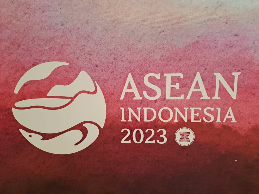 Proteksionisme Indonesia dapat menghalangi pakta ekonomi digital ASEAN