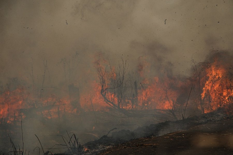 Daerah bersiap menghadapi kebakaran hutan dan kabut asap saat puncak musim kemarau