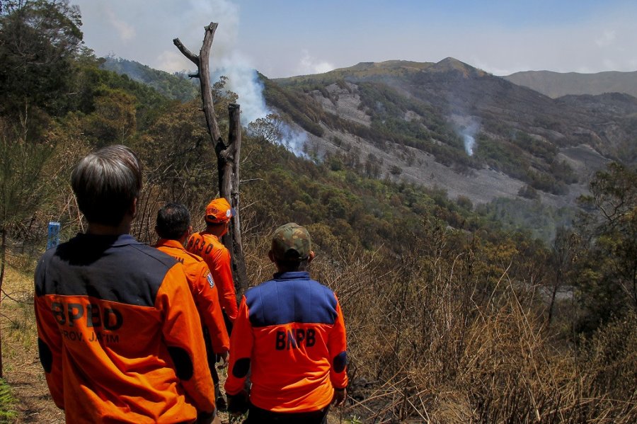 Prolonged Dry Season Leads To More Wildfires In National Parks - Asia ...