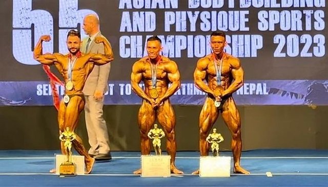 mr india bodybuilding