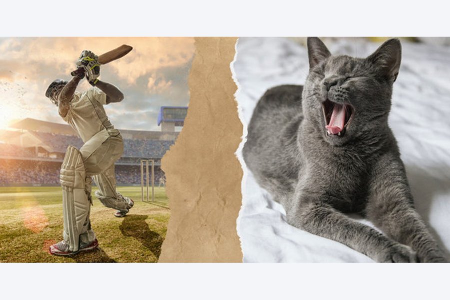 Why is cricket so boring? Asia News NetworkAsia News Network
