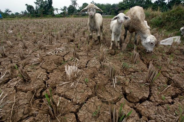 The Looming Threat of El Niño in 2026
