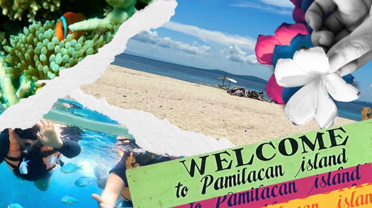 Pamilacan Island in Bohol: Why one should visit this nature’s gem ...