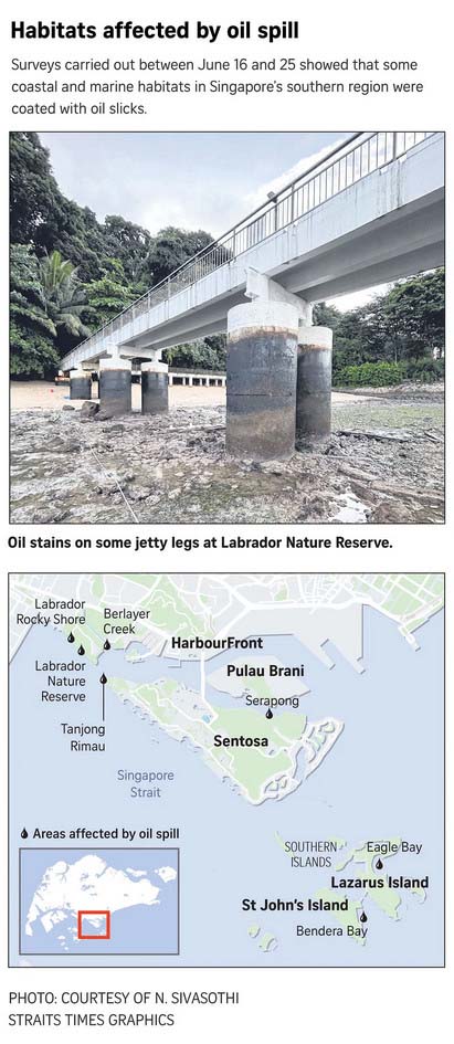 Singapore oil slick affected sensitive habitats: Minister for National Development