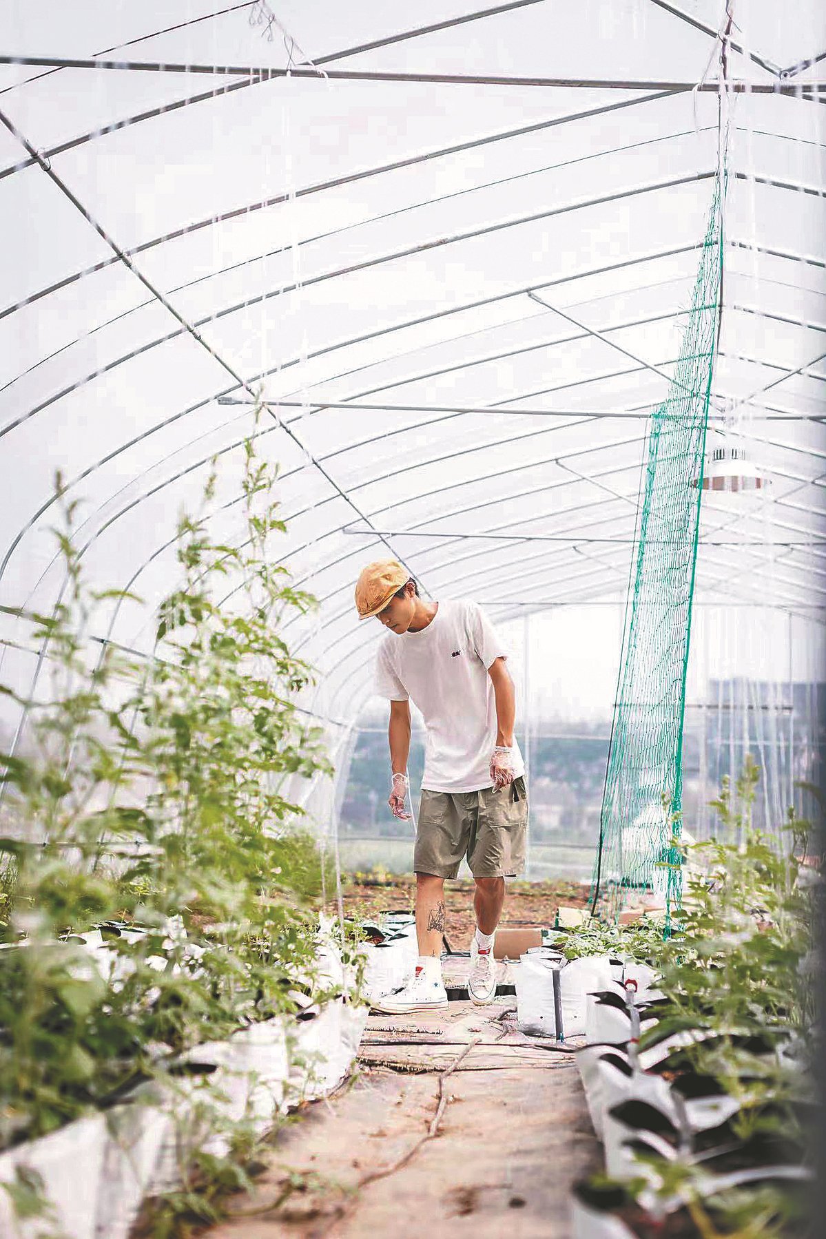 China’s 'new peasants' return home to relax, prosper in villages