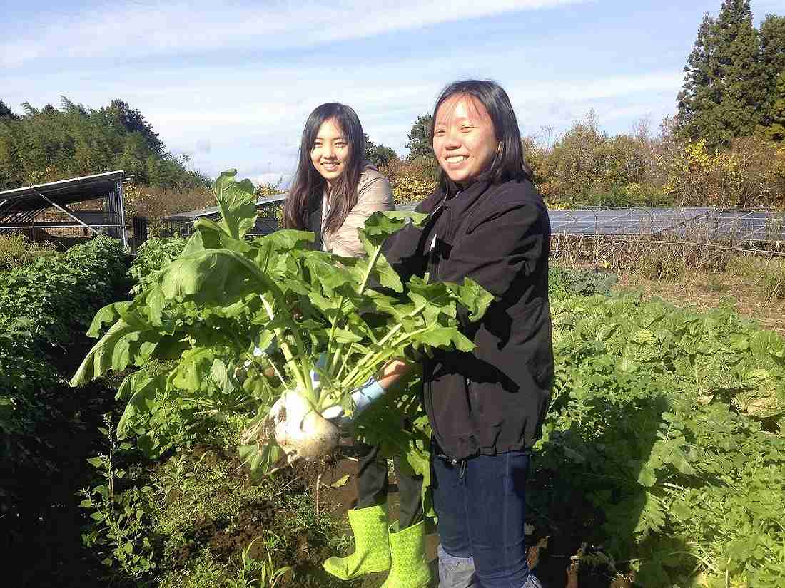 Farm stays in Japan increasingly popular with foreign tourists