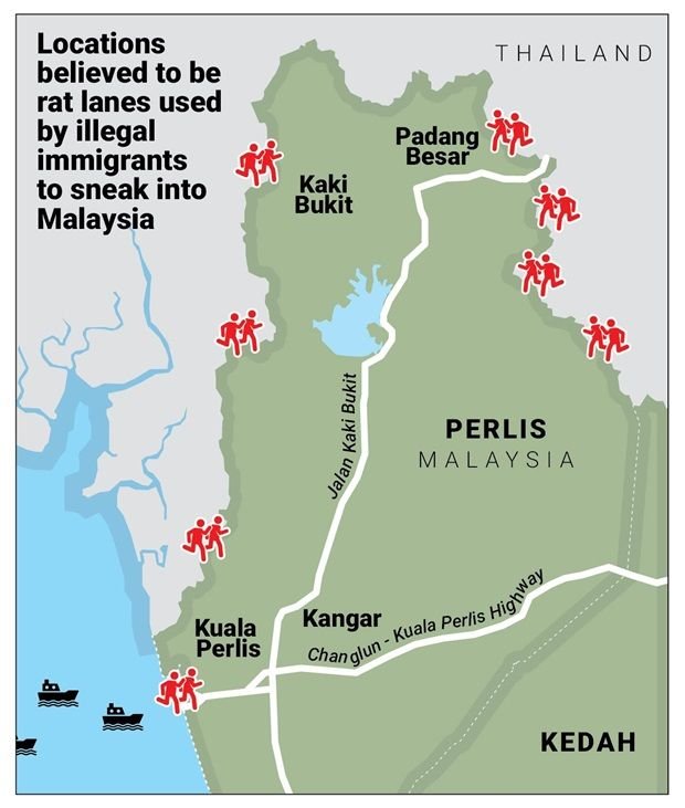 Growing concern over rat lanes used by illegal immigrants along Malaysia-Thai border