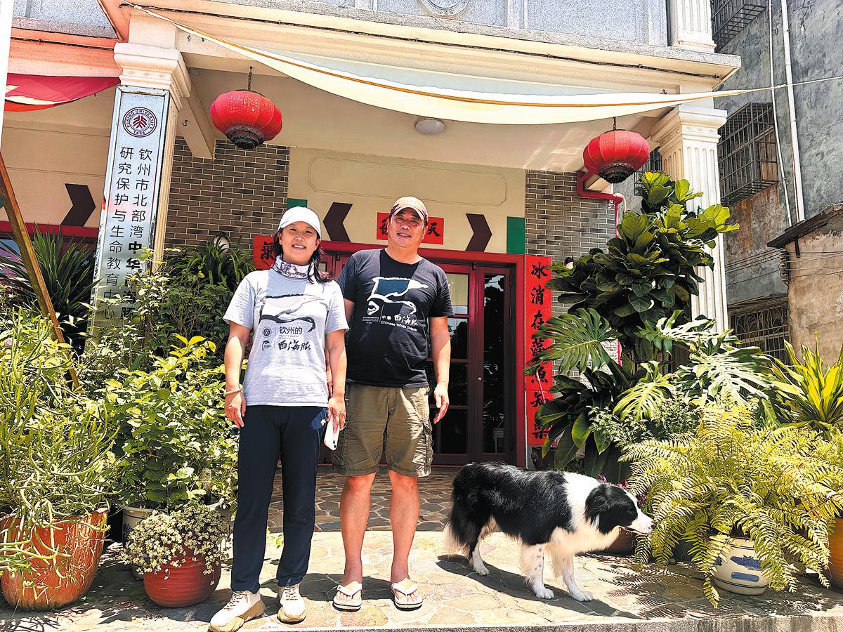 Dedicated Chinese family provides safety net for protected dolphins