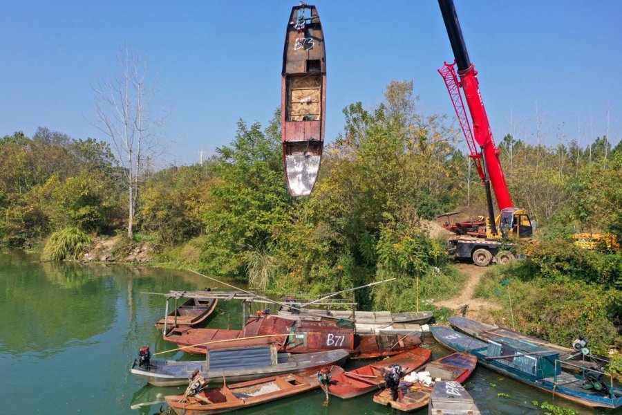 Conservation efforts help revitalise China’s Yangtze river