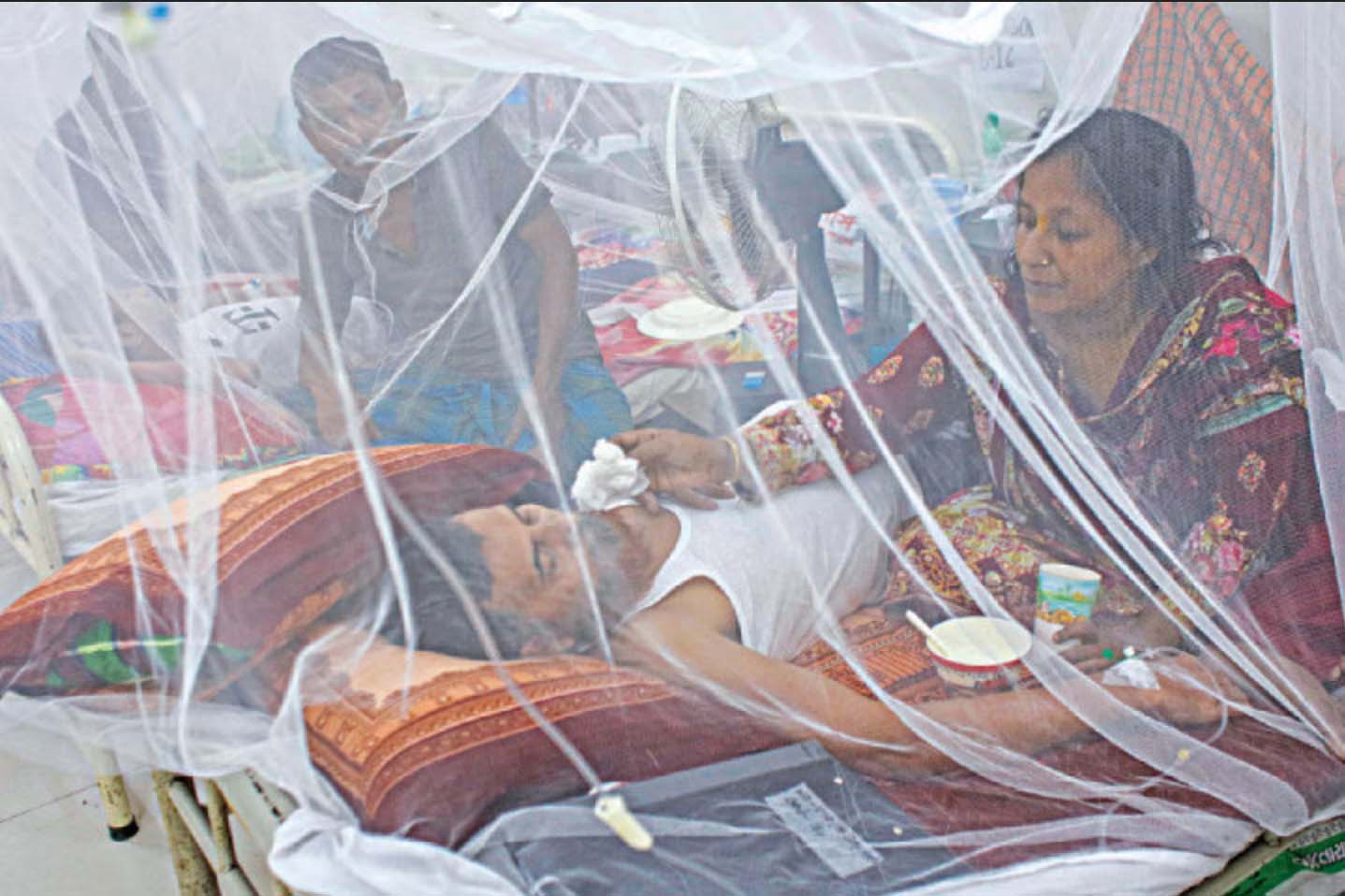 Dengue: 334 hospitalised in a day in Bangladesh - Asia News NetworkAsia ...