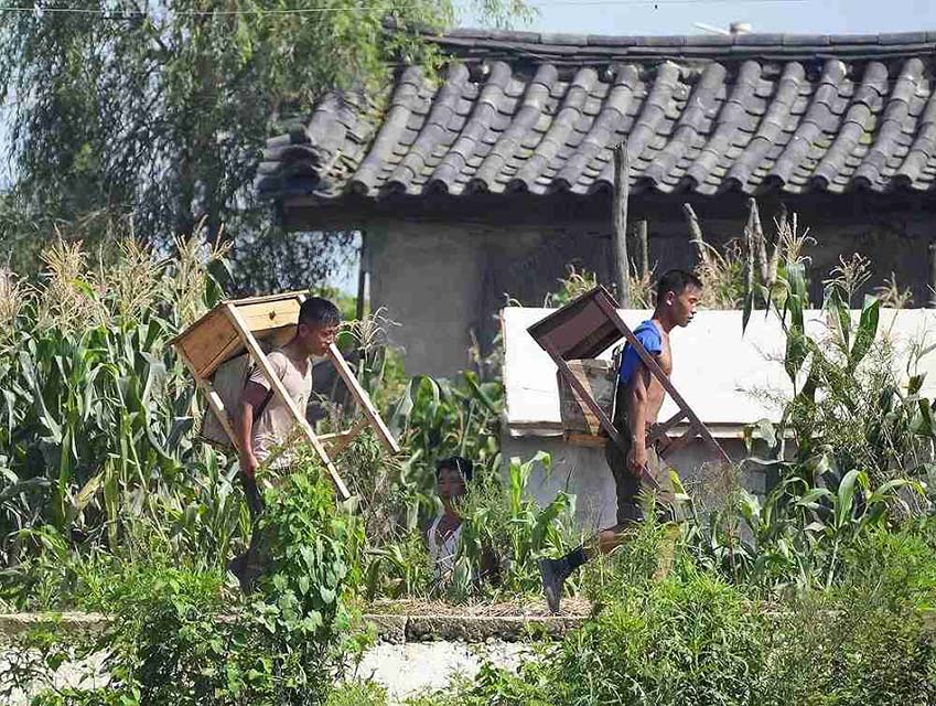 Flood damage in North Korea visible from across border; UN agency warns of more rain