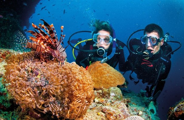 Unveiling Vietnam’s underwater treasures