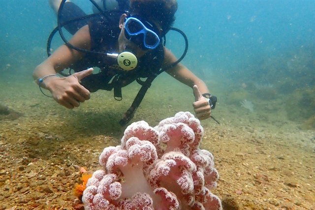 Unveiling Vietnam’s underwater treasures