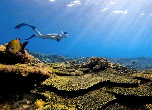 Unveiling Vietnam’s underwater treasures