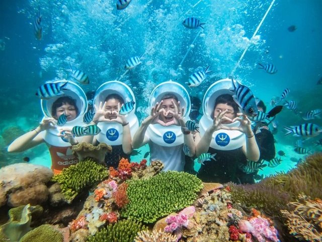 Unveiling Vietnam’s underwater treasures