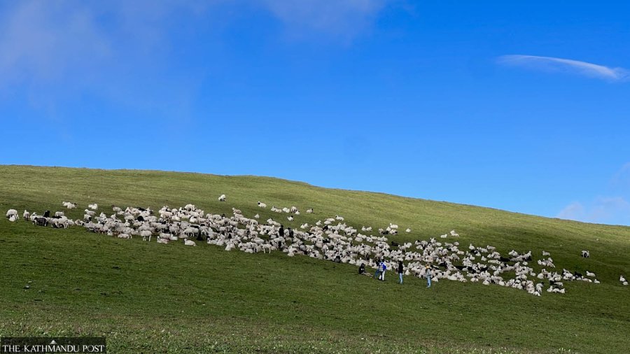 Nepal’s Rukum East’s enchanting grassland