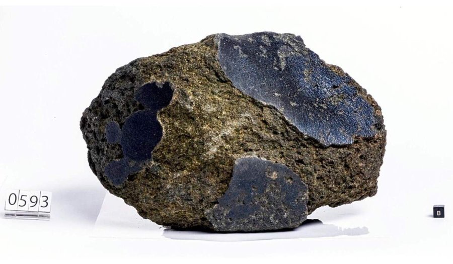 Martian Meteorite To Be Showcased For First Time At 2025 Osaka Kansai Mars