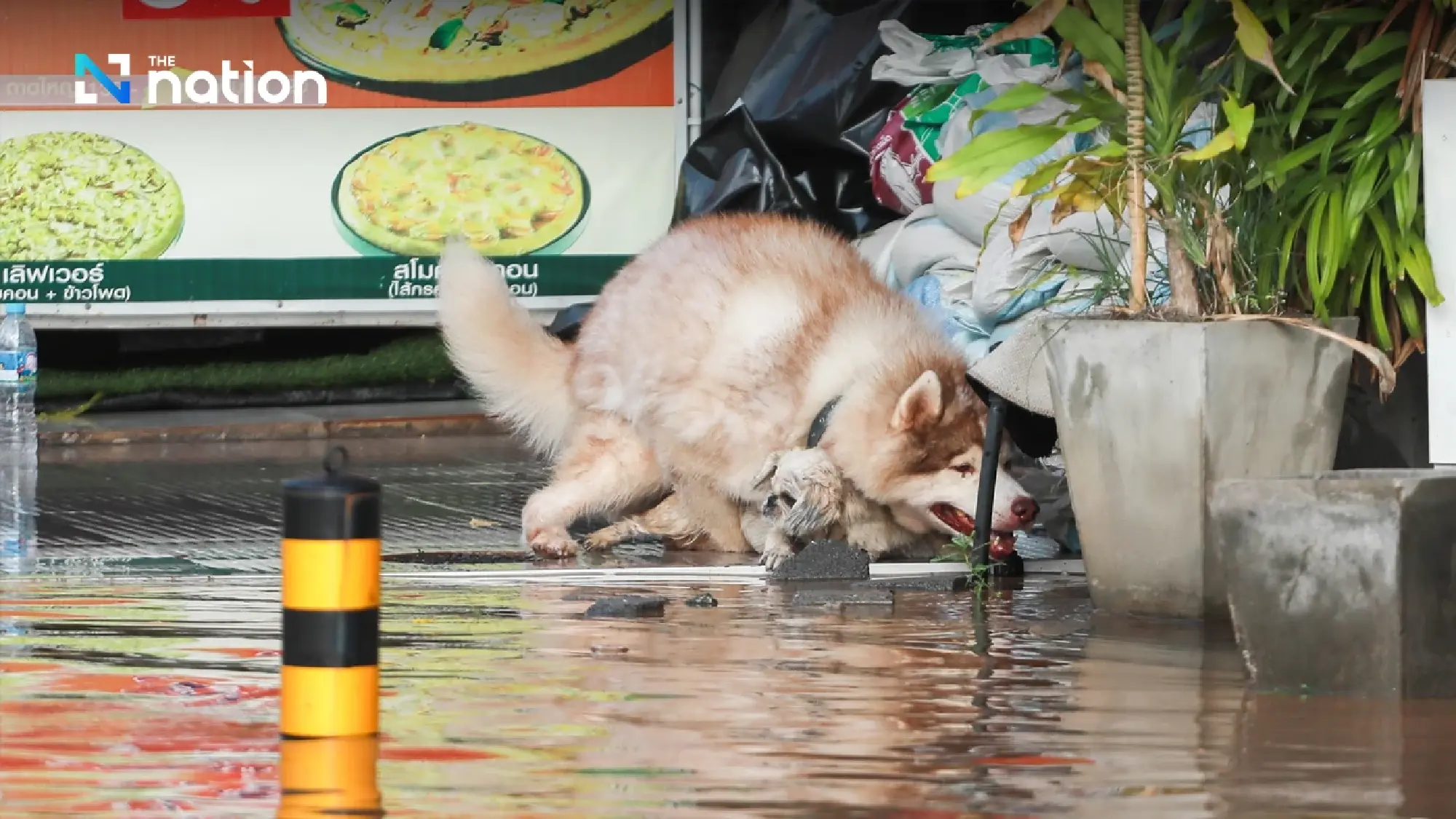 Mekong River bursts its banks and floods downtown Nong Khai in Thailand