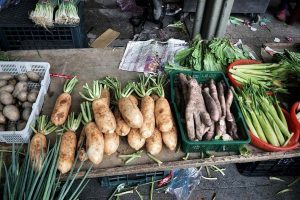 Food security in Laos improves but inflation drives migration: World Bank report